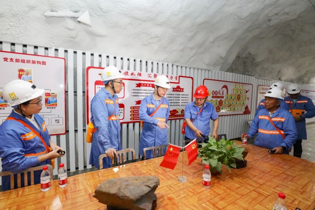 1719469471179247.jpg 昌江县委书记陈儒茂到海南矿业调研2_副本.jpg