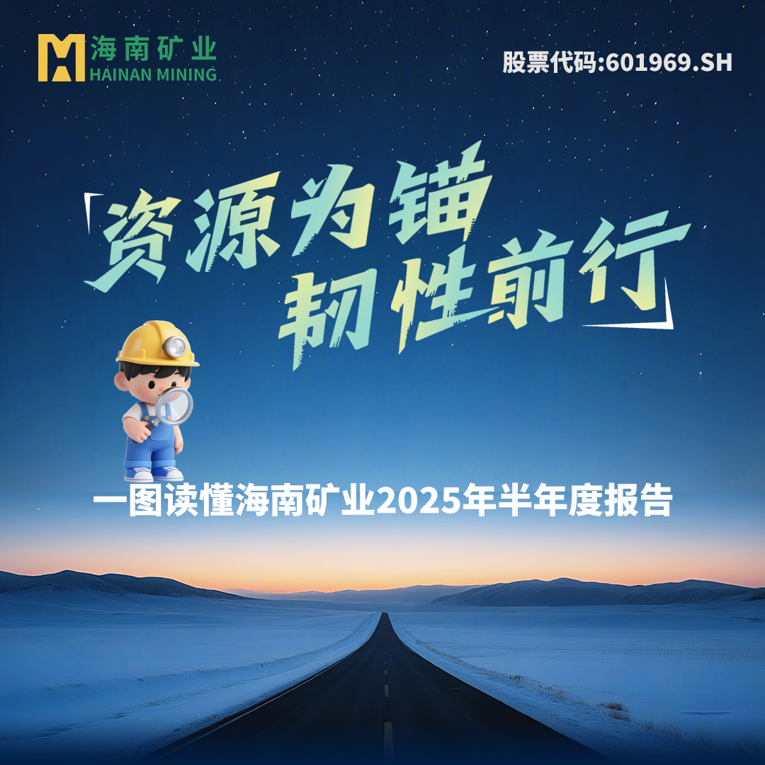 一图读懂海南矿业2025年半年度报告